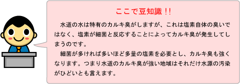 豆知識